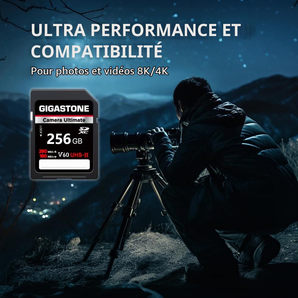 [5 Ans Récupération de données Gratuite] GIGASTONE UHS-II V60 256Go Carte SD, Camera Ultimate, Vitesse jusqu'à 280/180 Mo/s, pour Canon Nikon Sony Pentax Kodak Olympus Panasonic avec 1 Mini étui