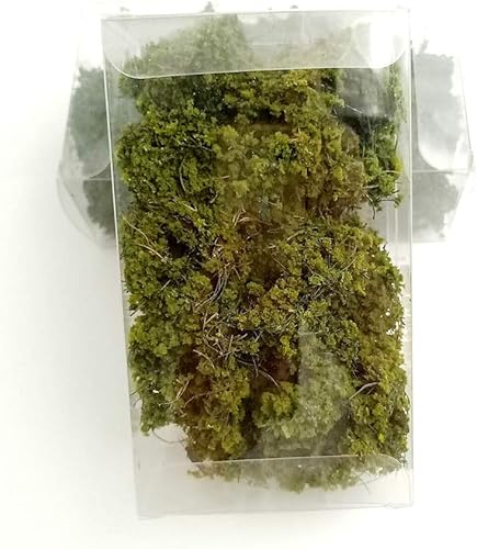 Miniatura 4 de DIY Arbustos en miniatura Arbustos Follaje Terreno Modelo Kit Mesa de Arena Simulación Paisaje Guerra Juegos Terreno Decoración Ferrocarril Paisaje