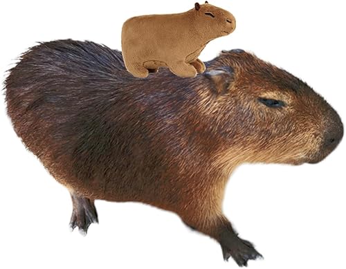 Miniatura 3 de Marble Empire Capybara - Peluche de peluche de Capybara, regalo pequeño y lindo, 7.8 pulgadas