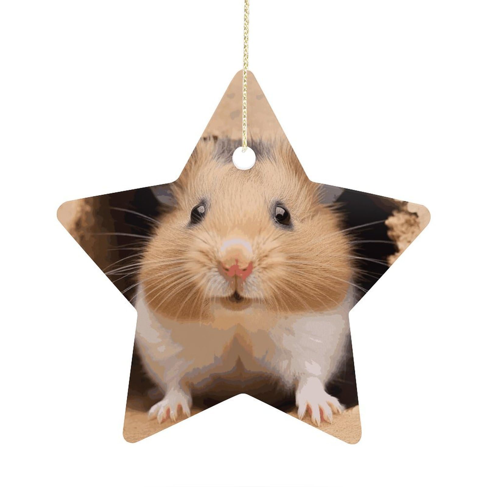 Funny Hamste Stars Ornaments Ceramic Christmas Tree Hanging Light in Weight Christmas Star Pendants Funny Double-Sided Printed Xmas Ornaments for Gifts