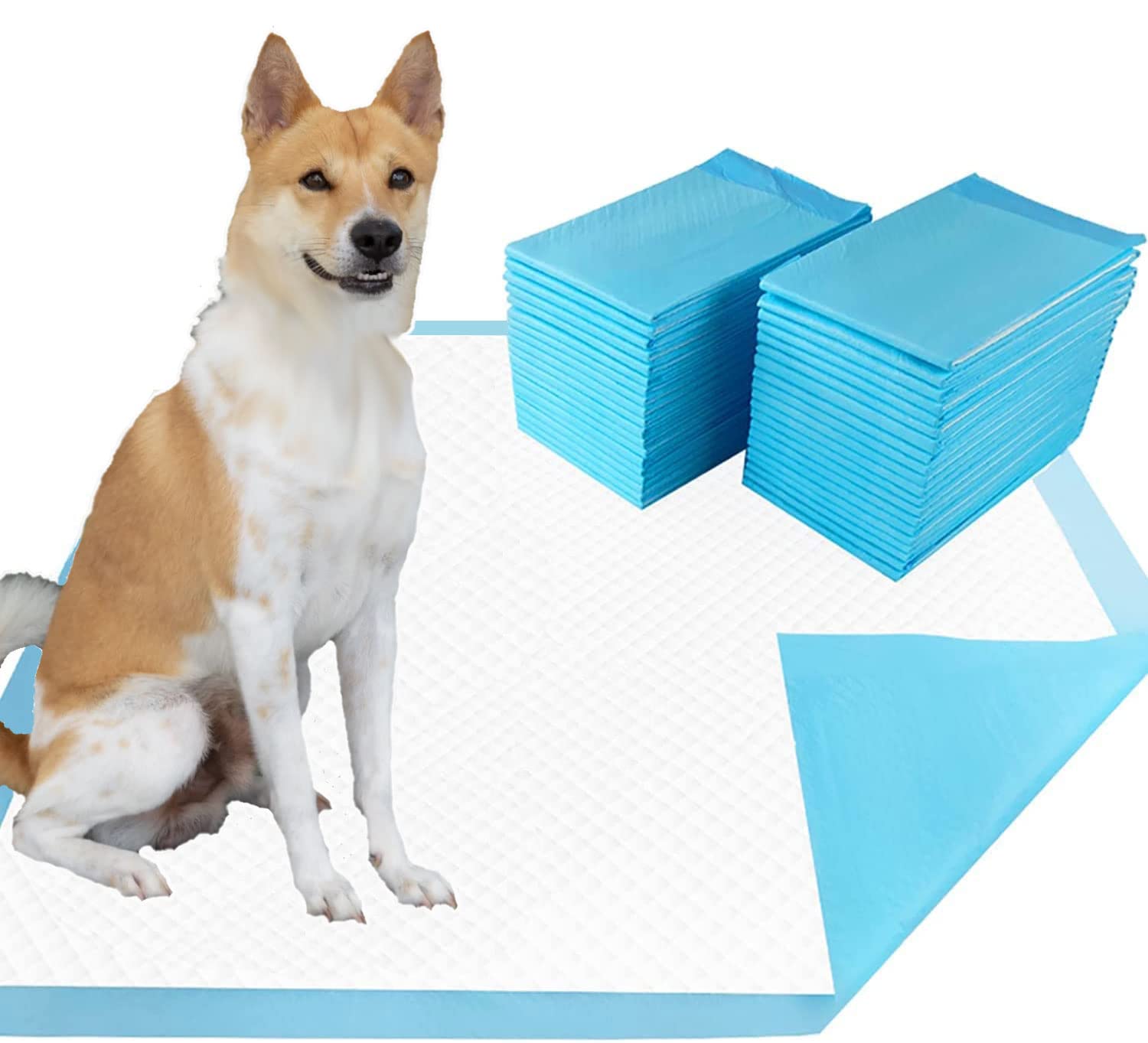 Aquapapa Dog Puppy Pee Pads for Potty Training and Travel, Leak-Proof, High Absorbency, Quick-Dry (Standard, (XL) 23.6"x 35.4" Pack of 20)
