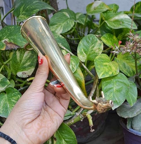 Gaumukhi Gaumukhi Shringi Shring Shrungi de latón puro para Puja Rudrabhishek Abhishekam patra Olla de baño para Pooja Hindú Dios (10 pulgadas)