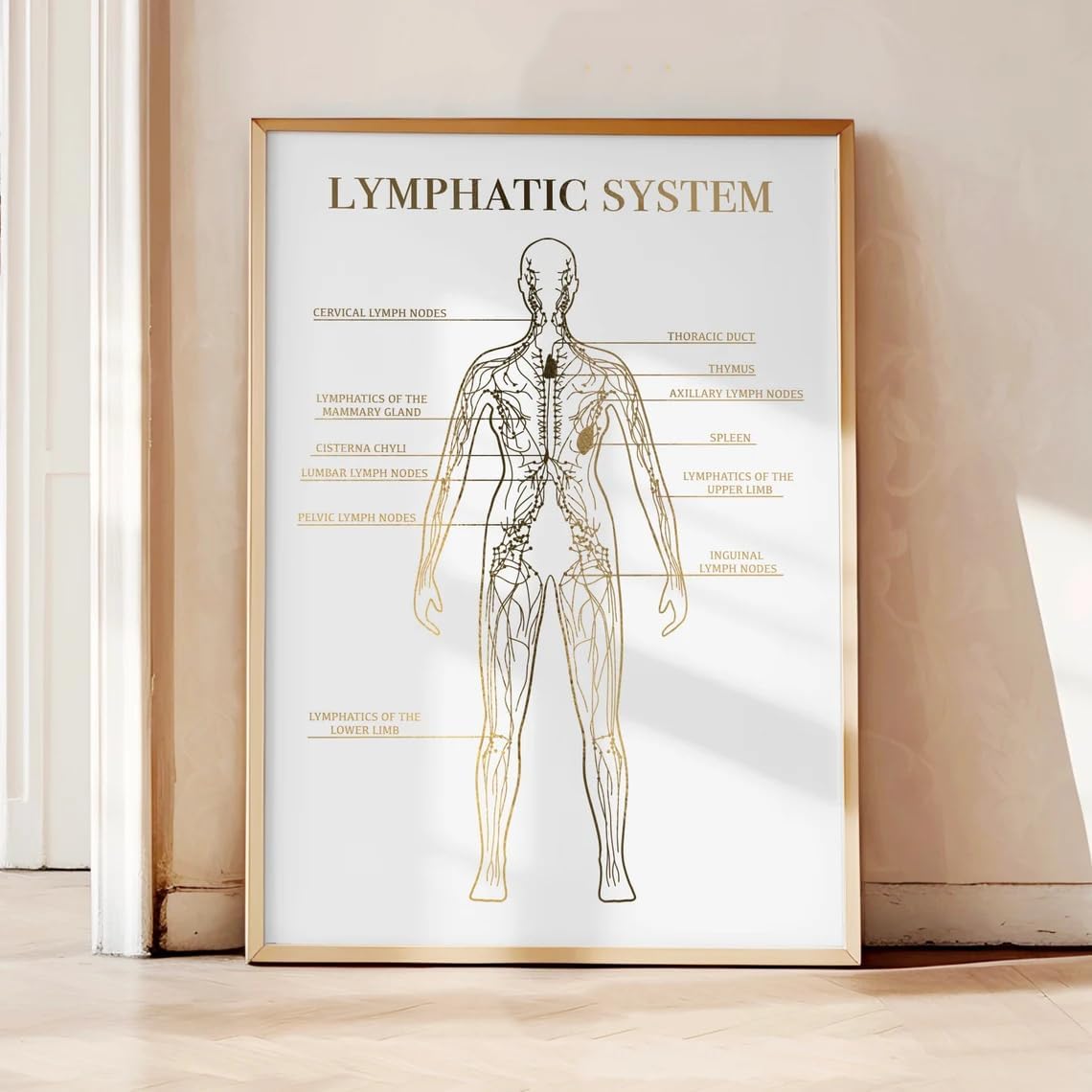 3 Pieces Body Sculpt Framed Wall Art Poster Sculpt Your Body Without Surgery Prints Canvas Painting Body Contouring Artwork for Beauty Clinic Decoration with Inner Frame