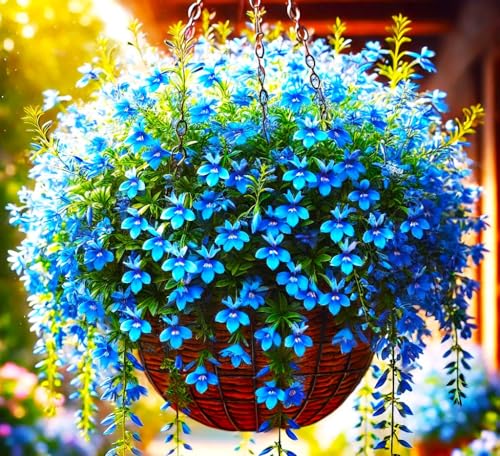 Seeds Lobelia Blue Cascade 1000+ Seeds for Planting Flowers Groundcover Trailing Flower