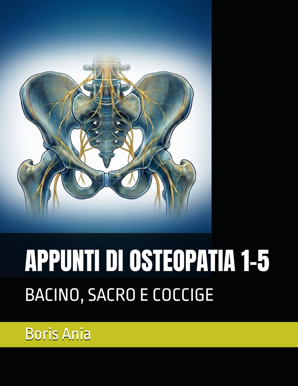 APPUNTI DI OSTEOPATIA 1-5: BACINO, SACRO E COCCIGE