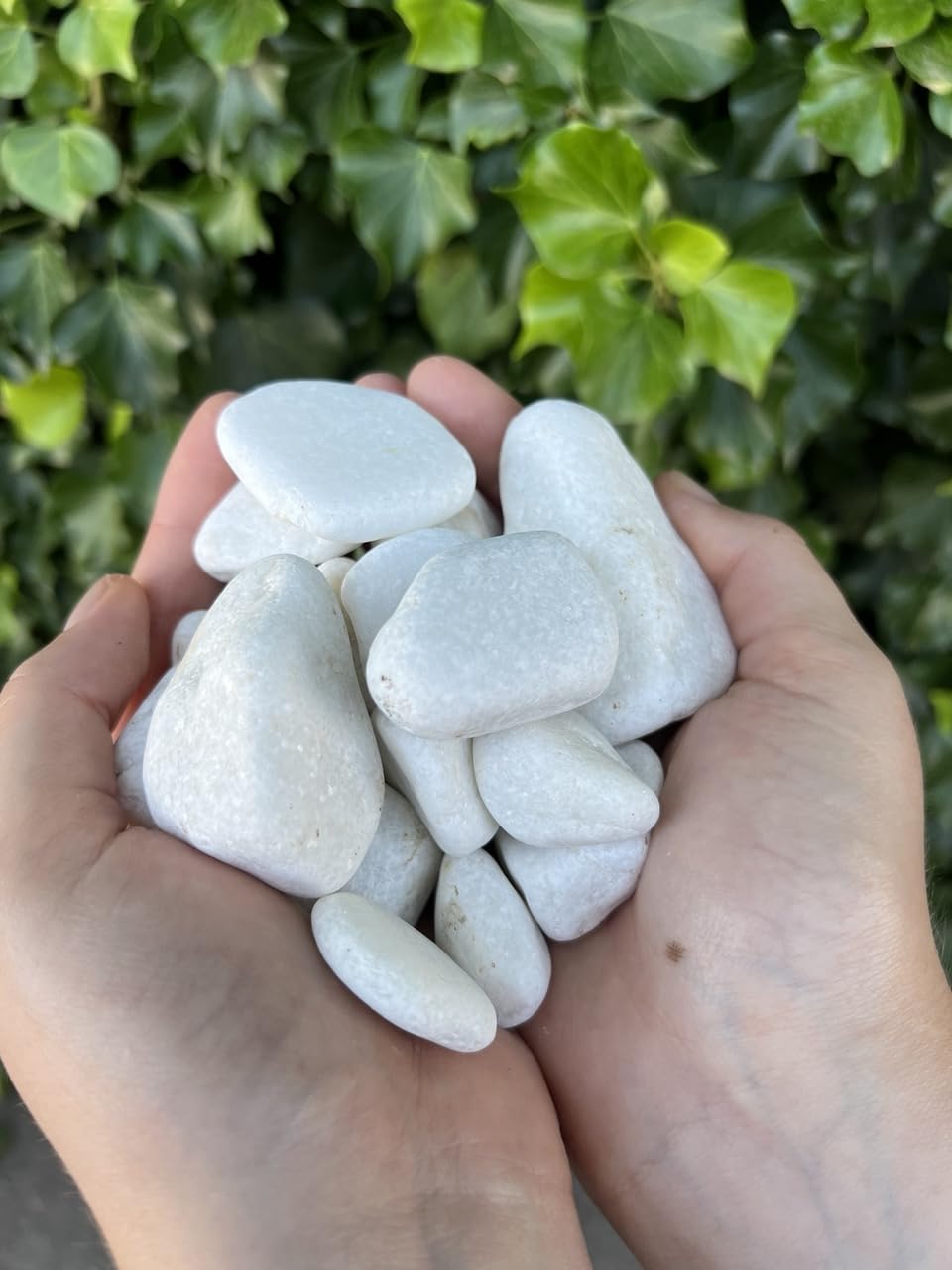 Piedra mármol Canto rodado Blanco Puro, Piedra Decorativa para Jardin, Espacios Exteriores y Intriores/Paisajismo, Jardineras y Macetas/Terrazas y Patios (24/40 mm 20 kg)