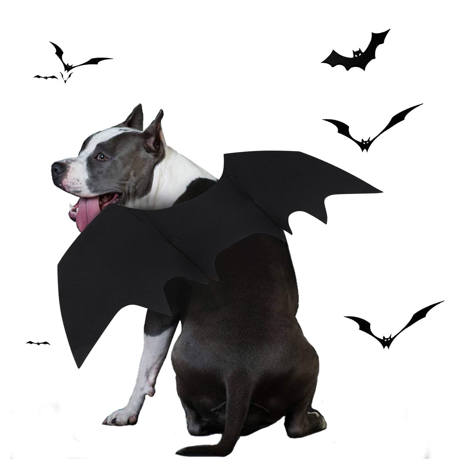 BWOGUE Dog Costume Halloween Pet Bat Wings Cosplay Apparel for Small to Large Sized Dogs Party Decoration,Large