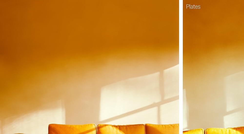 Amazon.com: Uta Barth: Peripheral Vision: 9781606068052: Kovacs Amazon.com: Uta Barth: Peripheral Vision: 9781606068052: Kovacs