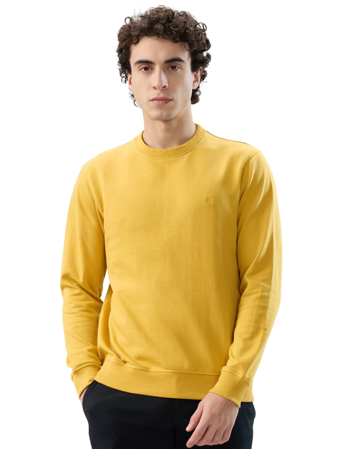 Men Reguler Fit Solid Pattern Cotton Polyester Blend Crew Neck Full Sleeve Casual Sweatshirt Yellow-image-45