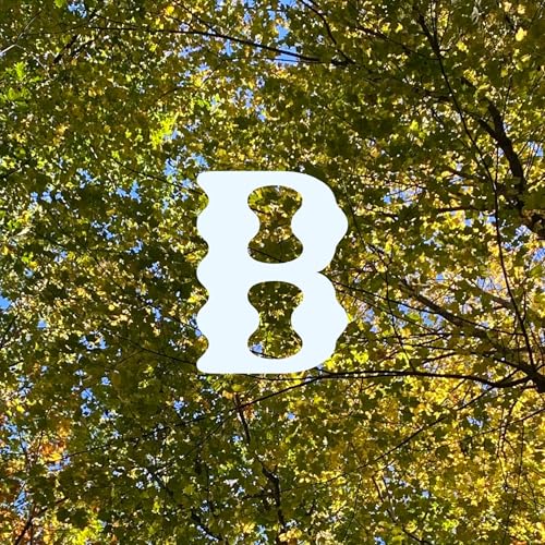 Find Affordable Wellness in Maine with Frugal Portland ME