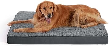 Pawsome Foam Dog Bed for Small, Medium, Large and Extra Large Dogs/Cats -Crate Foam with Washable Bed - (Large, Grey)