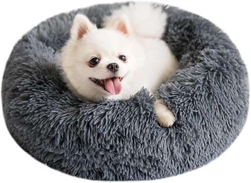 KryZaroybgxbh 2 Zbg Eh^ 50cm sN LEqp ӂӂhNbV \ ~ TCYEJ[I xbhp pybgpi