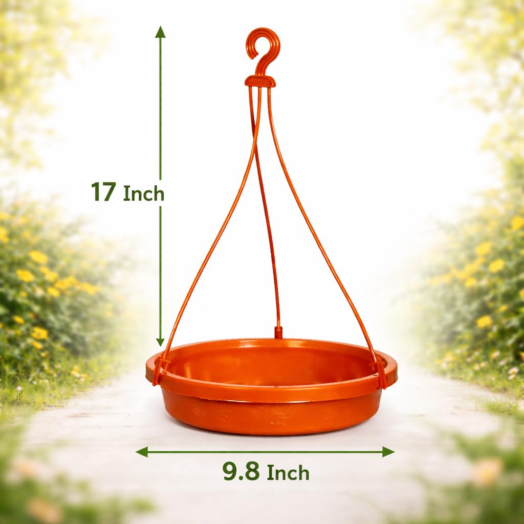 2 Bird Feeders & Bath - Balcony Garden -5