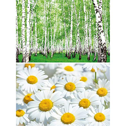 Best Promo GREAT ART Set of 2 XXL Posters – Summer Meadow & Forest – Birch Forest & Daisies Nature Landscape Blossoms Spring Birches Flower Green Photo Wallpaper Decoration (140 x 100cm)