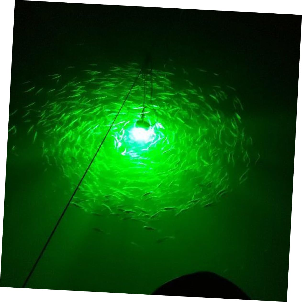 HANABASS Esche da Pesca Leggere Luce Subacquea da Pesca Lampada del Cercatore di Pesce Lampada da Pesca Luce da Pesca