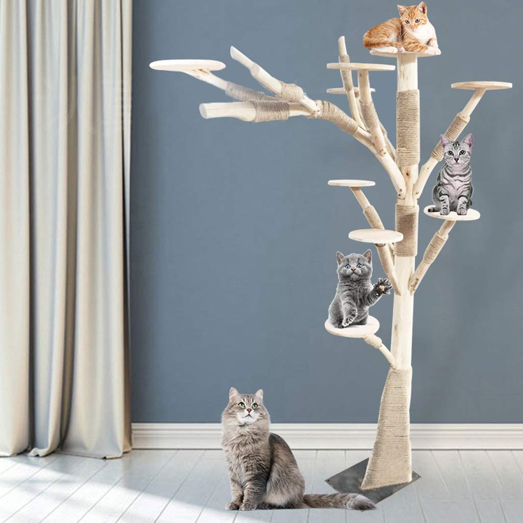 Amazon.co.jp: 猫クライミングフレーム 猫スクラッチポストソリッド