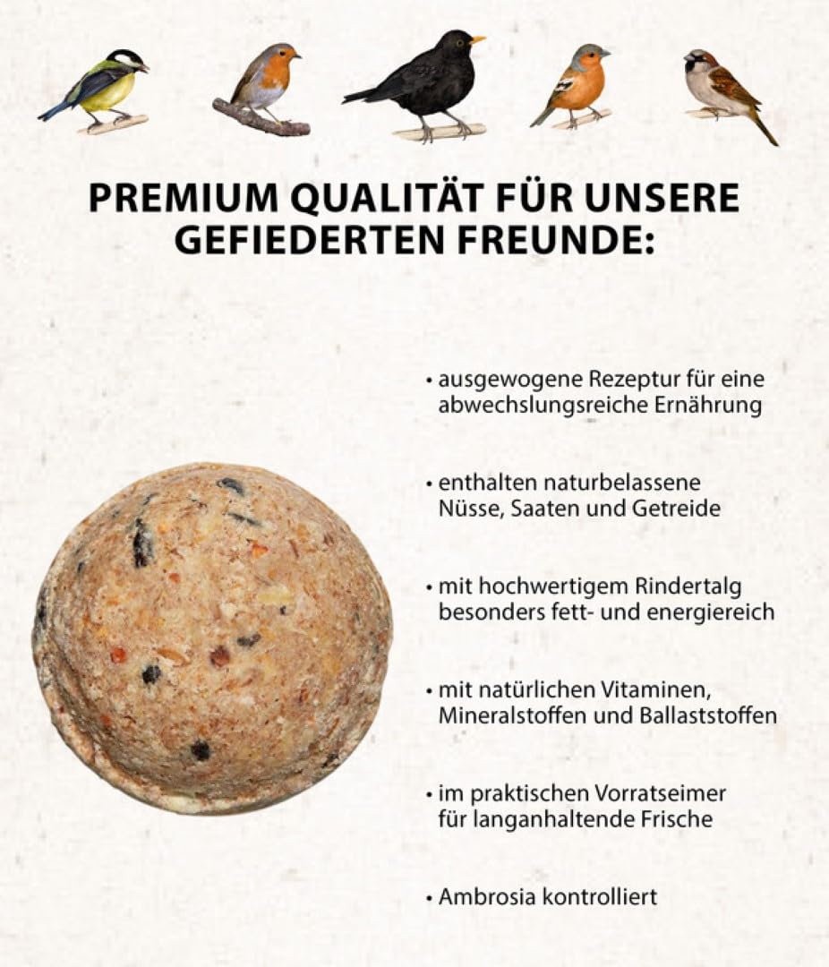 Dehner Natura Vogelfutter | Wildvogelfutter | Meisenknödel ohne Netz | energiereiches Premium Ganzjahresfutter | Fettfutter mit Nüssen | für Meisen und Rotkehlchen | im Vorratseimer | 100 Stück | 9 kg