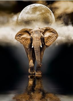 Elephant Canvas Print Wall Art,15.7 x 23.6 Unframed African Elephant Wall Art Painting,Black and Gold Poster Modern Art Decor Poster for Kids Bedroom Living Room Bathroom Home Office Decorations