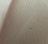 Review Image by Ali Ali