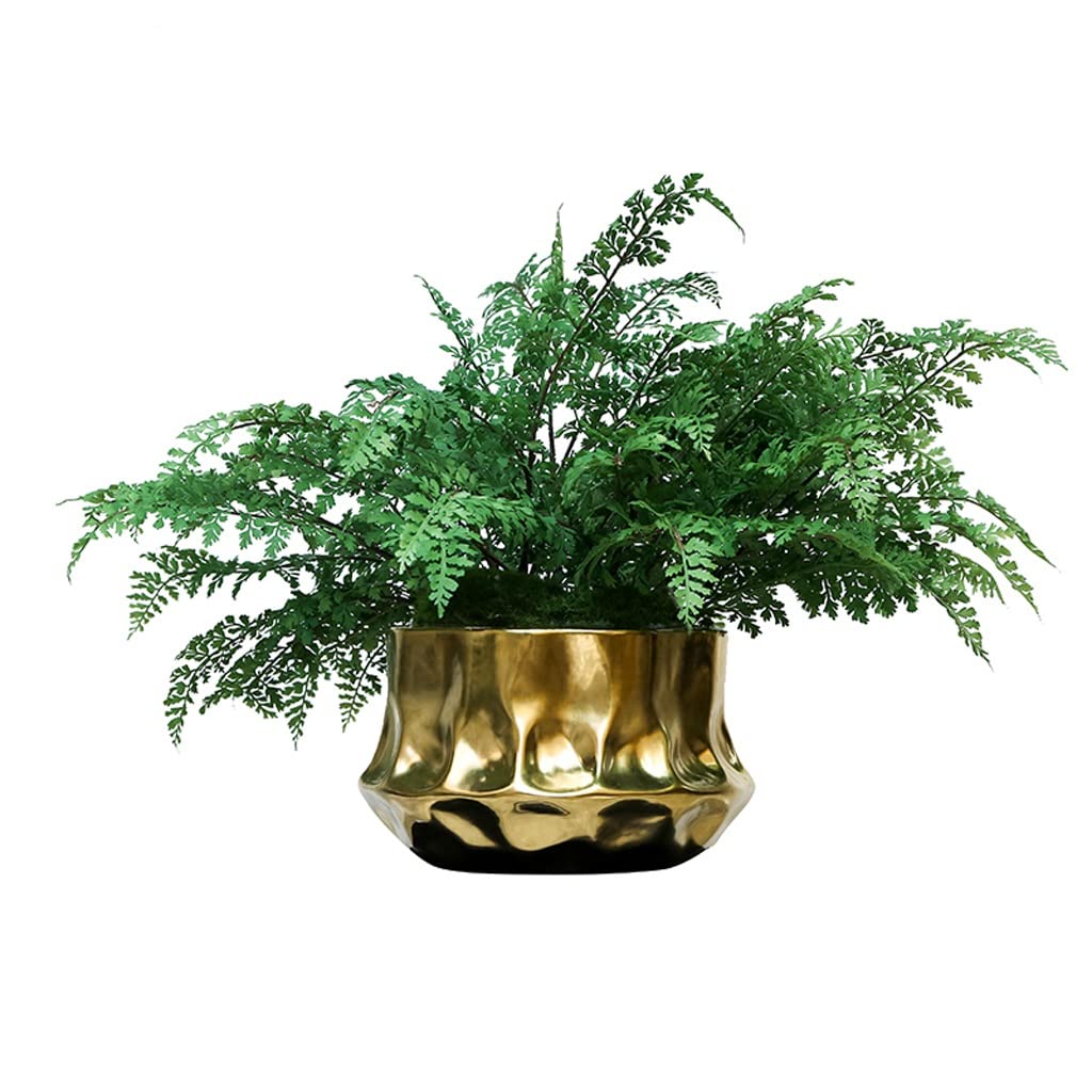 Árbol bonsái Artificial pequeño, árbol bonsái Artificial, planta Artificial de cerámica en maceta para El hogar, la oficina, El escritorio, Adorno Decorativo de bonsái, planta fals