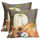 Picture of Kawani White Orange Pumpkin Fall Pillow Covers 18X18 Inch Sunflower Leaf Wood Decorative Couch Pillow Cases Set of 2 Autumn Thanksgiving Throw Pillows Home Decor for Room Porch Patio Couch Outdoor