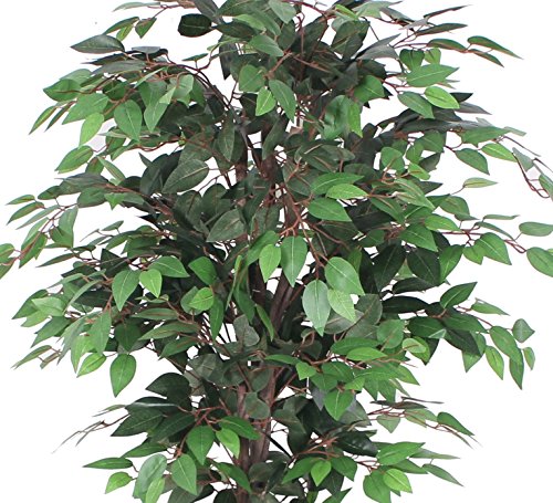 AMERIQUE AMT0912 Silk Plant, 5.3'/63", Green
