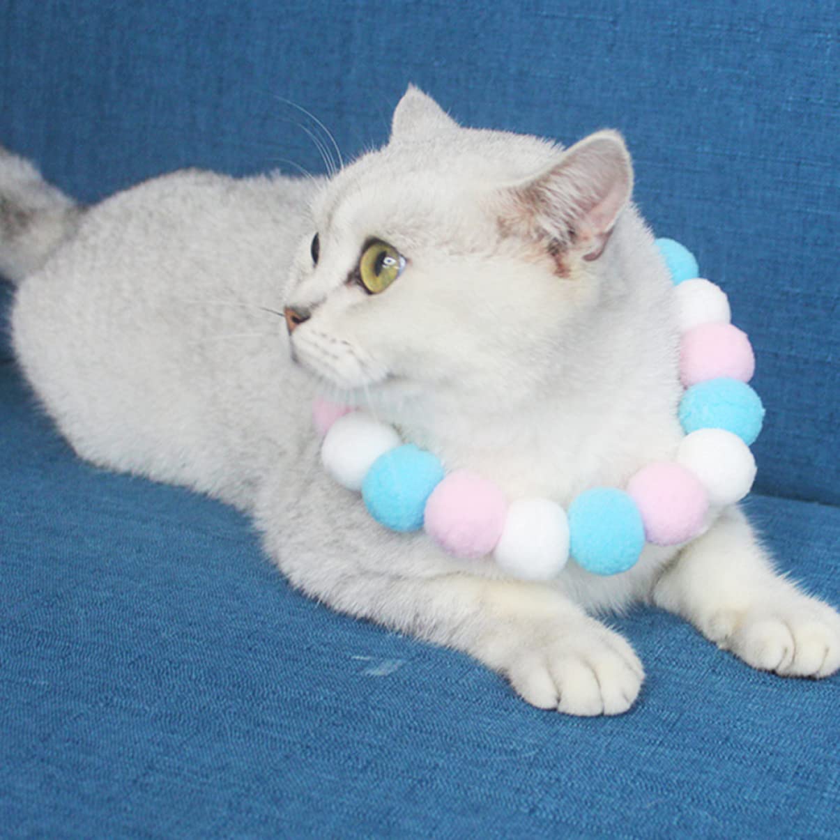 POPETPOP 6pièces Collier pour Animaux De Compagnie avec Boule Peluche Ensemble pour Chiens Et Parfait pour Et