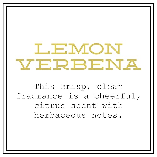 Miniatura 10 de BARR-CO. Repuesto de jabón de manos de abeto y pomelo, pomelo brillante y bálsamo refrescante, jabón líquido natural para baño y cocina, fórmula