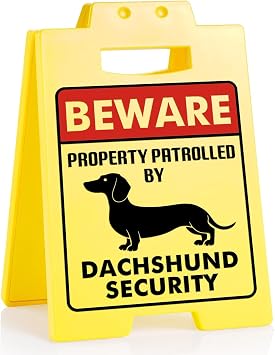 Leebbsin Funny Dachshund Gifts for Dog Lovers, Novelty Dachshund Desk Sign | "Beware Property Patrolled by Dachshund Security" Room Decor for Dogs Moms & Dads, Wiener Dog Merch for Birthday, Christmas