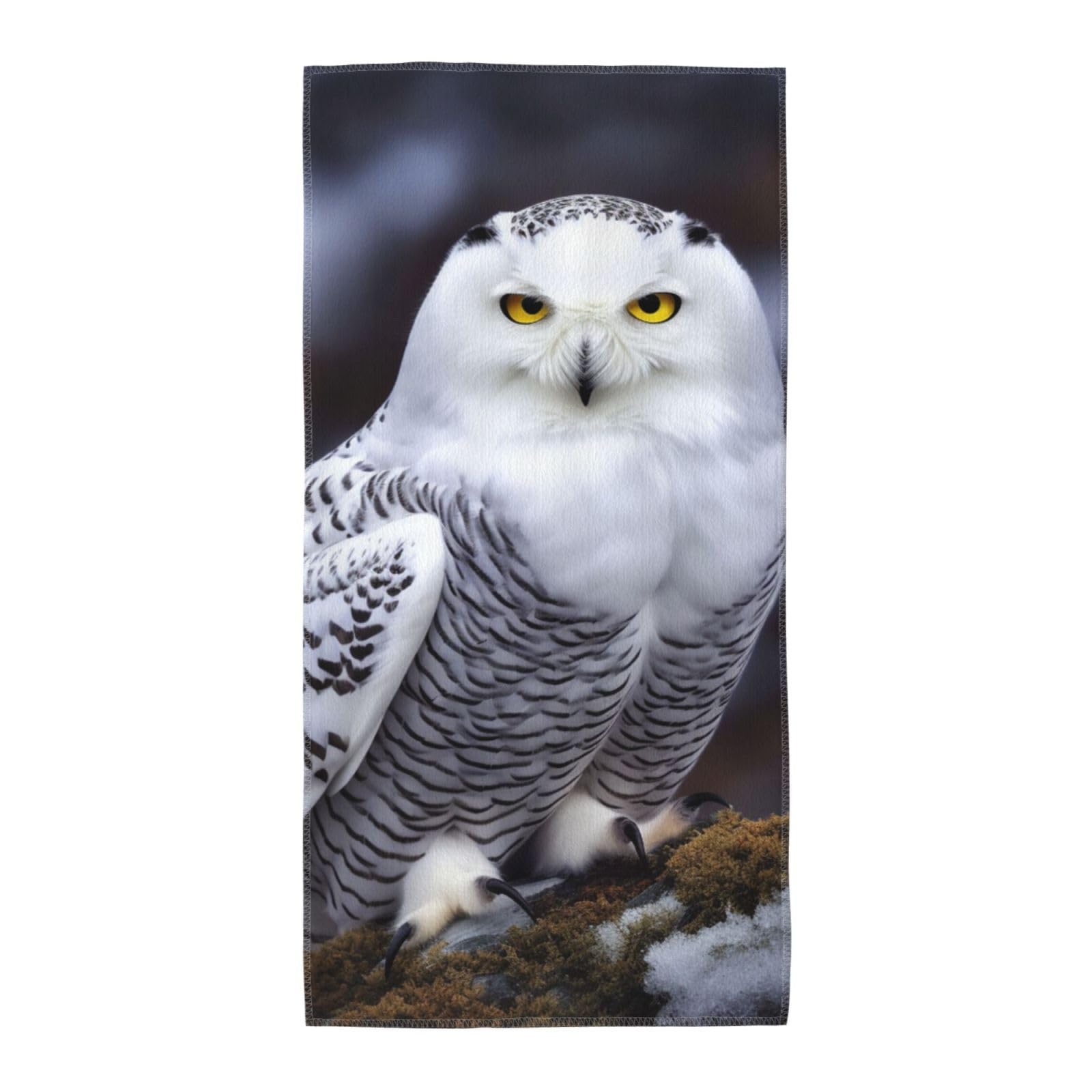 FekiLoot Absorbent Hand Towels 13.8"X27.5" Decorative Bathroom Towel Soft Microfiber Face Towel Arctic Owl Dish Kitchen Towels for Bathroom Kitchen Hotel Spa Bath Towels