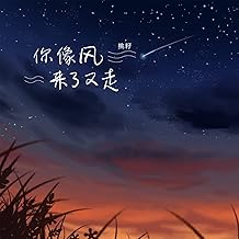 你像风来了又走 (DJ version)