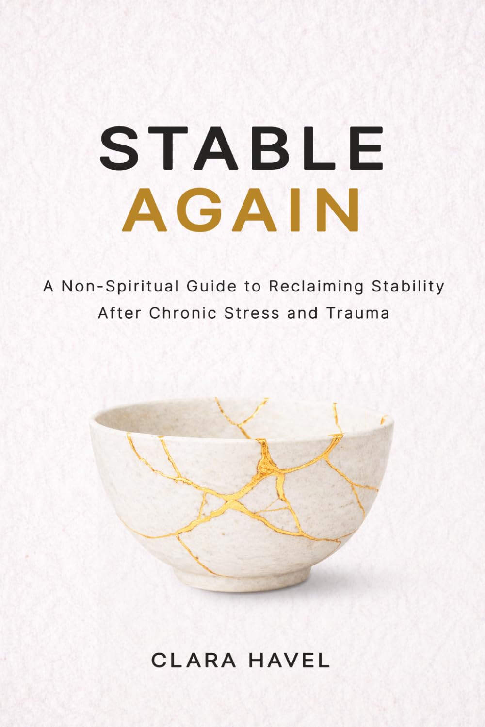 Stable Again: A Non-Spiritual Guide to Reclaiming Stability after Chronic Stress and Trauma