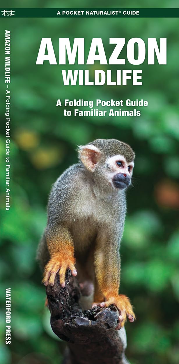 Amazon Wildlife, 2nd Ed: A Folding Pocket Guide to Familiar Animals (Nature Observation International)