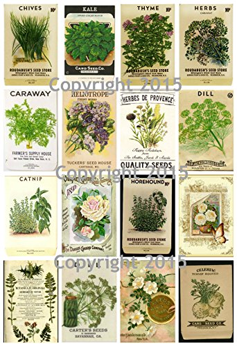 Victorian Vintage Seed Pack Herbs Collage Sheet