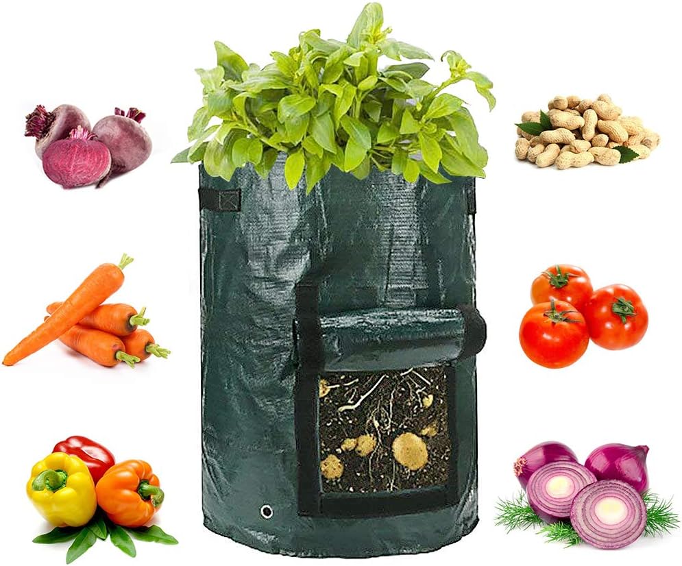 vegetable bags amazon
