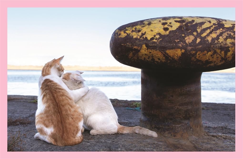 Neko Cats of Japan