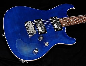 Amazon.co.jp: SCHECTER RJ-1-24-VTR BLU PF Schecter Arch Top