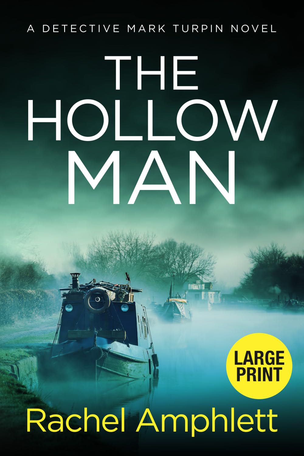 The Hollow Man: large print: A Detective Mark Turpin crime thriller (large print): 7