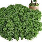 Fyrdm 150g Fausse Mousses Mur d'art DIY, Mousse Stabilisée, Mousses Artificielle Décorative pour Bricolage, Mousse Herbe Artificielle Vert Foncé, pour Plantes en Pot, Aquariums, Jardinage
