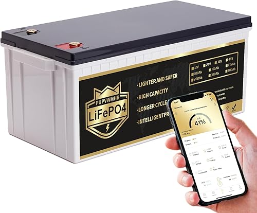 Miniatura 8 de PUPVWMHB Batería de ciclo profundo LiFePO4 de 12 V y 100 AH, BMS de 100 A, batería de litio recargable de más de 5000 ciclos, perfecta para