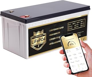 12V200Ah Bluetooth LiFePO4 Lithium Battery, Built-in 200A BMS, Max.2560W Load Power,10 Years Lifetime 8000+ Cycles Deep Cycle Battery for Trolling Motor, RV Camping, Off-grid Application