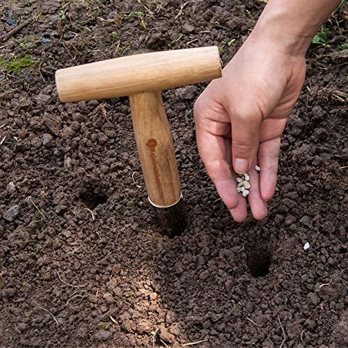 Rainbowiner Garden Hand Dibber With Measurements, Bulb Planter Tool - 11 Inch Wooden Handle Stainless Steel Handheld Gardening Dibbler For Garlic Tulip Daffodil Vegetable Seed Planting #TOP5
