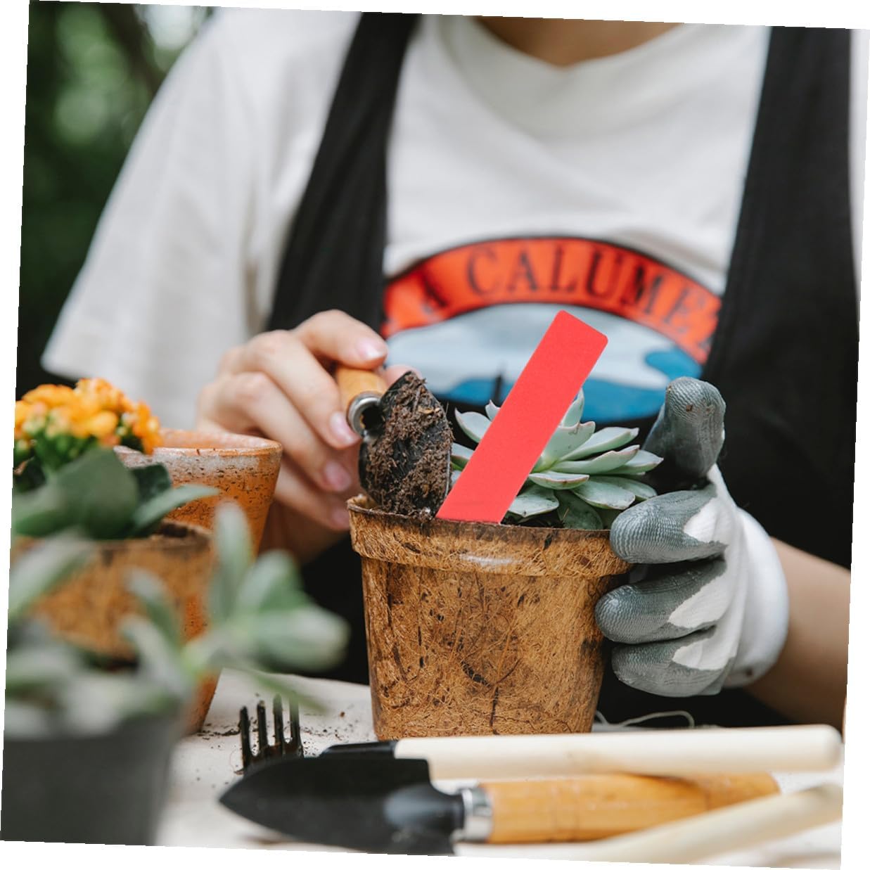 Artibetter 600pcs Plastic Plant Labels Stakes Garden Plant Tags Colorful Waterproof Small Garden Marker Stakes for Herb Flowers Seedlings