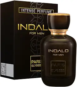 Paris Elysees Eau De Toilette Paris Elysees Masculino Indalo 100Ml