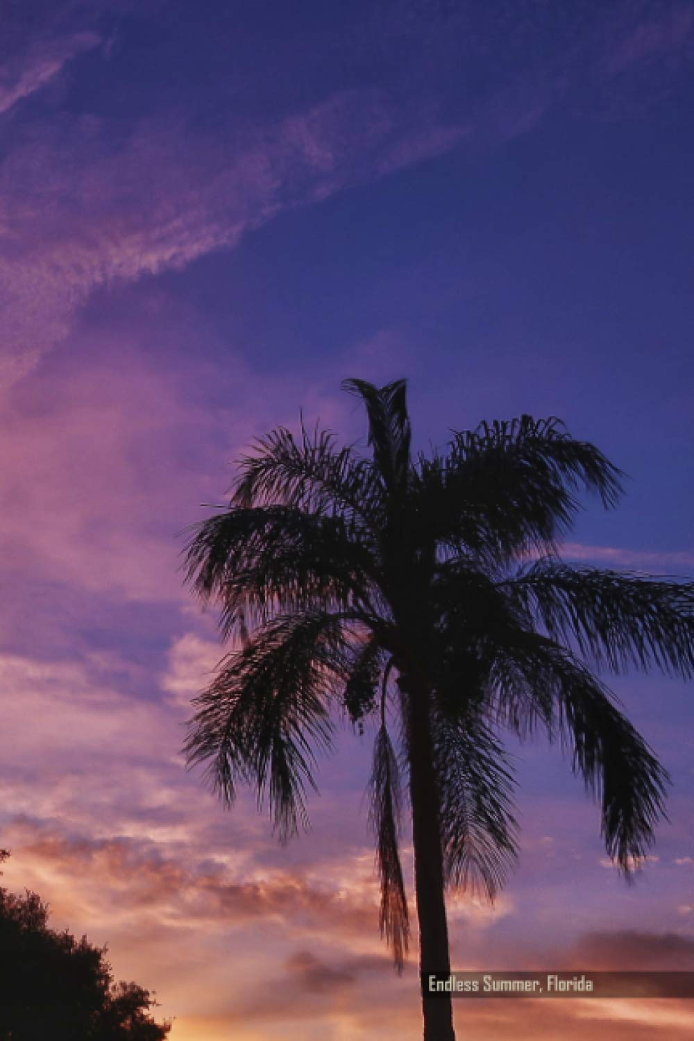 Endless Summer, Florida: Lined Journal Notebook: 100 pages, 6" x 9" – for Travel, Diary, Composition, Dream, Meditation