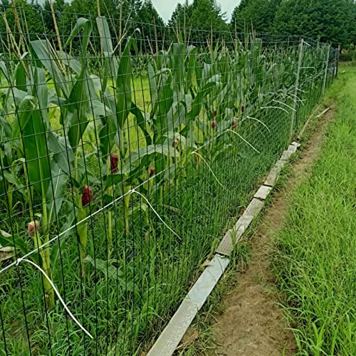HDYZJQ Drahtgitter Maschendraht Gartenzaun Hasendraht Grün Hardware-Tuch für Gemüse/Hühnerställe/Kaninchen… – Bild 7