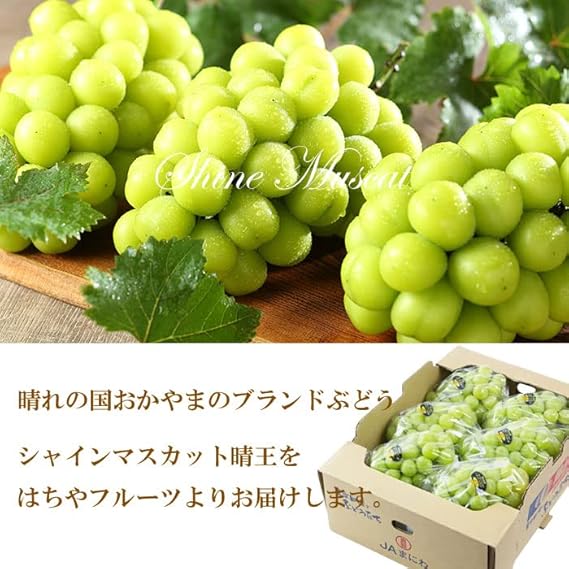限定販売の超レアぶどう岡山県産マスカットビオレ、晴王