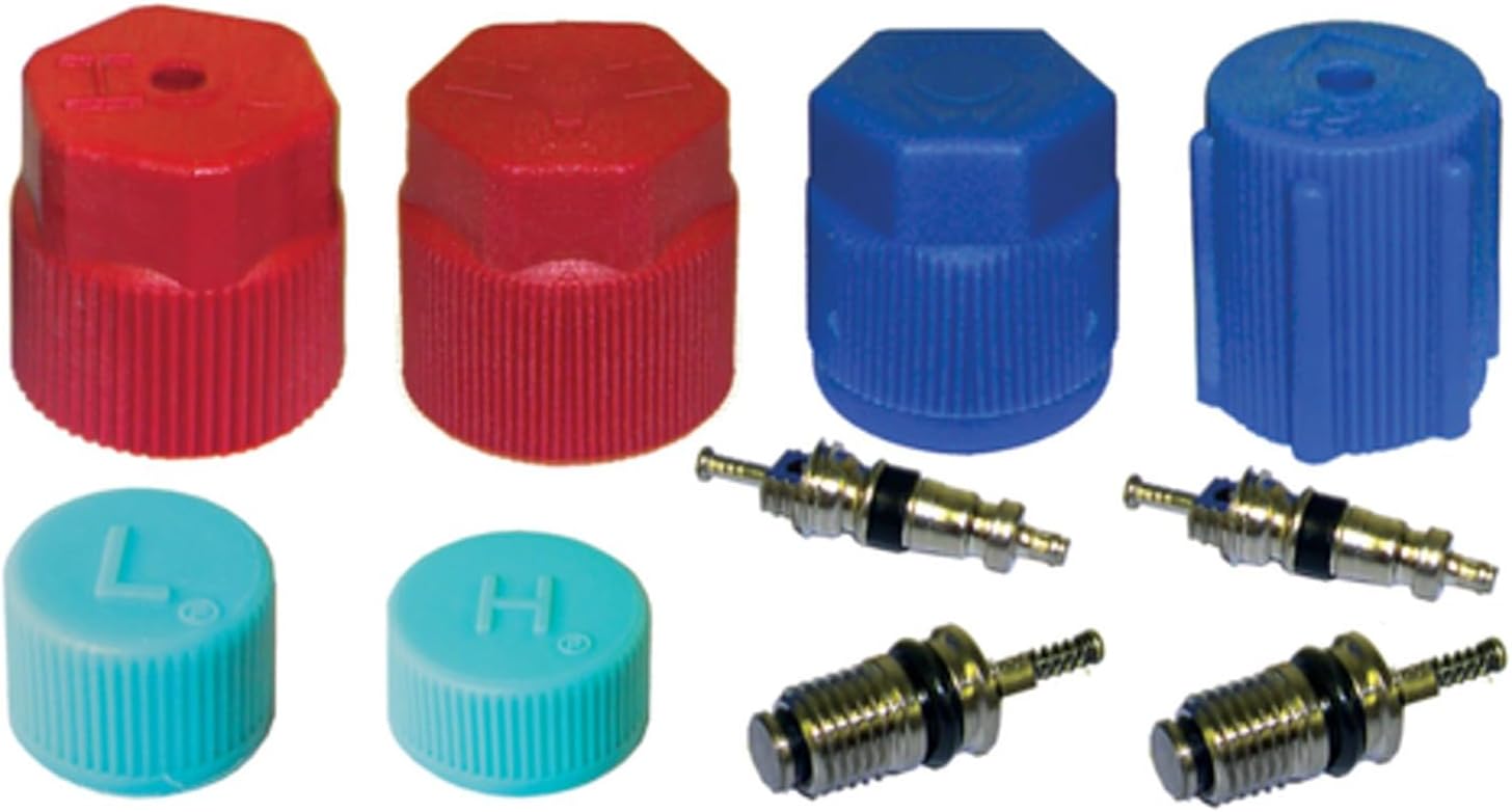 Mechanics Choice A/C System Valve Core and Cap Kit for Electric (AWD)