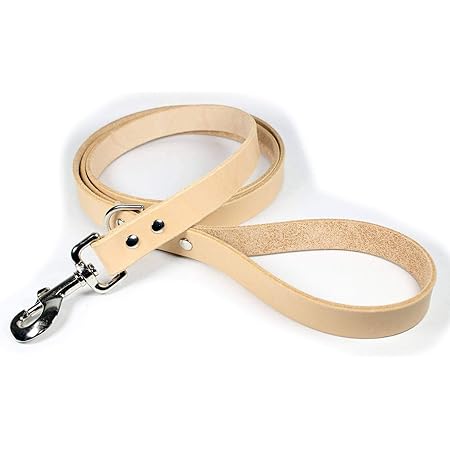 thick leather dog leash