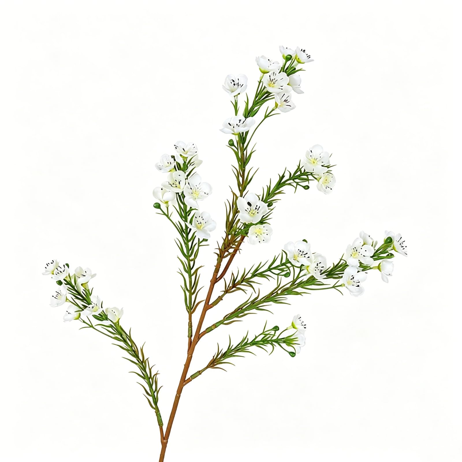 Ehuagzcoo Artificial Australian Wintersweet Flowers for Home Decoration and Wedding Silk Flower Arrangement